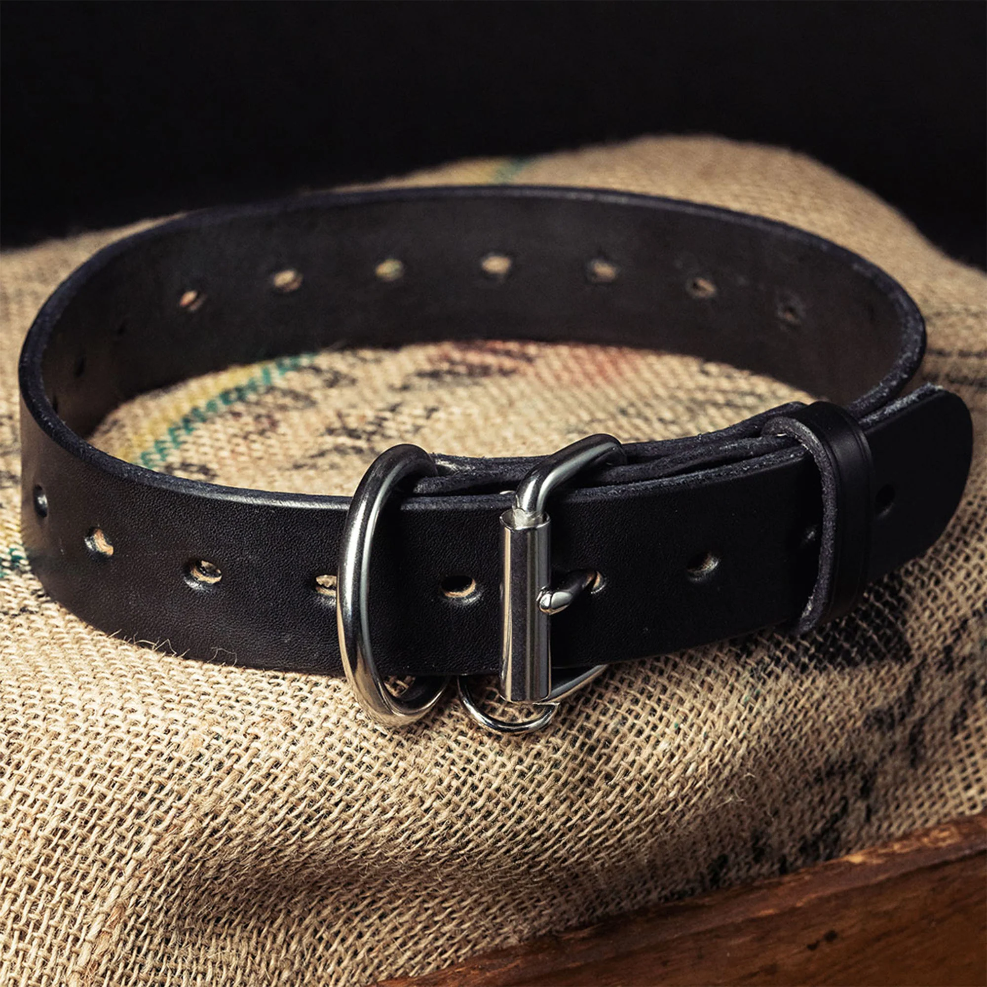Big Ass Dog Collars for Big Ass Dogs - Image 5