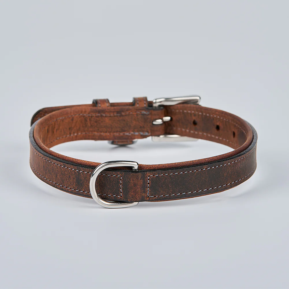Kodak Bison Collar - Image 14