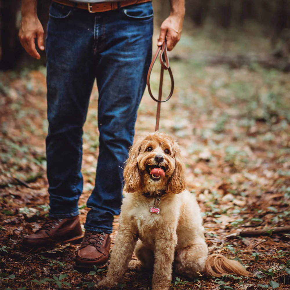 Bentley Leash - Image 12