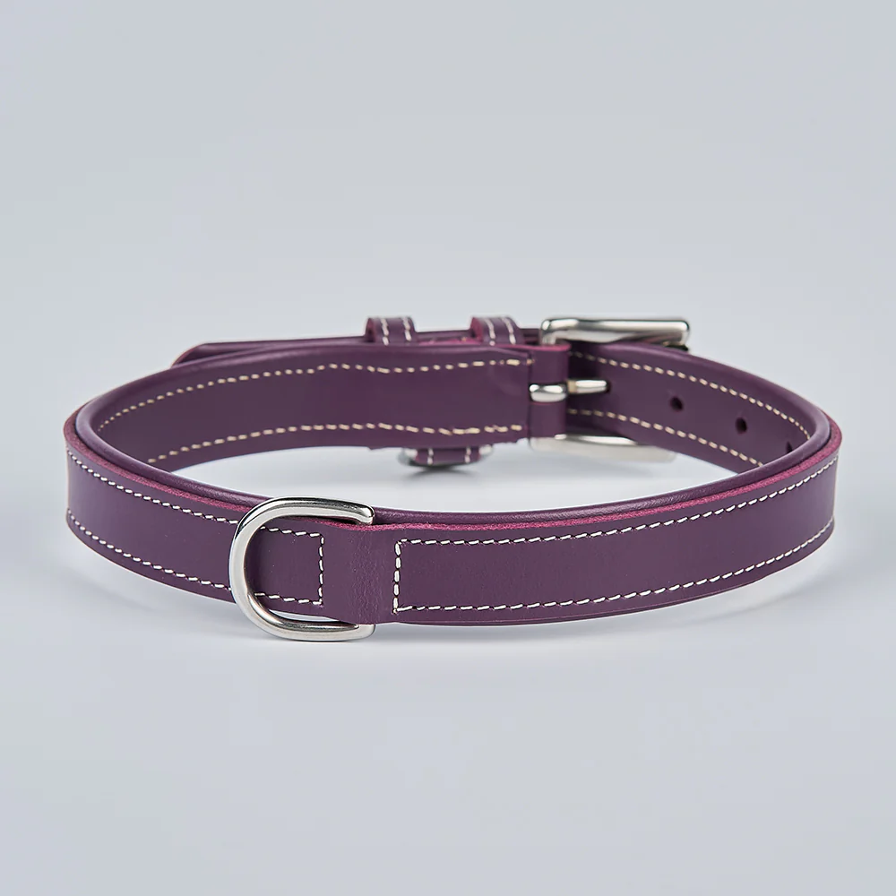 Rover Standard Collar - Image 34