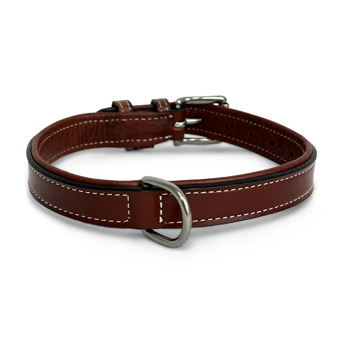 Rover Standard Collar - Image 5