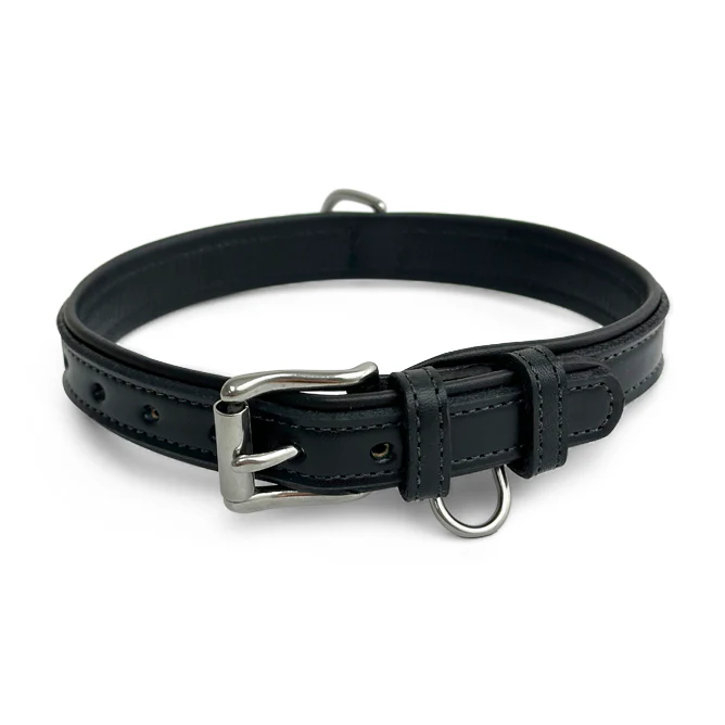 Rover Standard Collar - Image 8