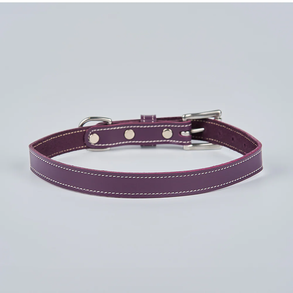 Old Reliable Collar - Image 11