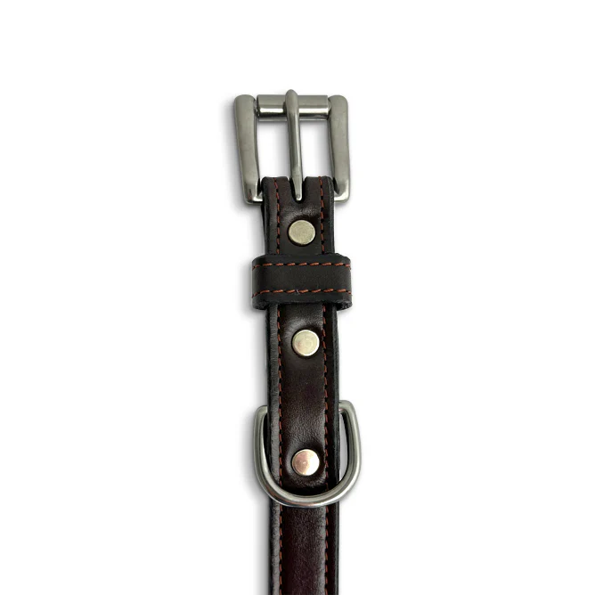 Old Reliable Collar - Image 5