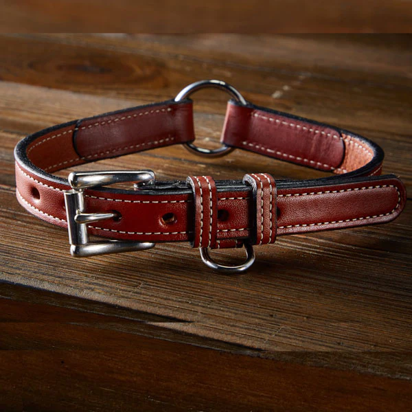 Old Reliable Collar With D-Ring - Image 5