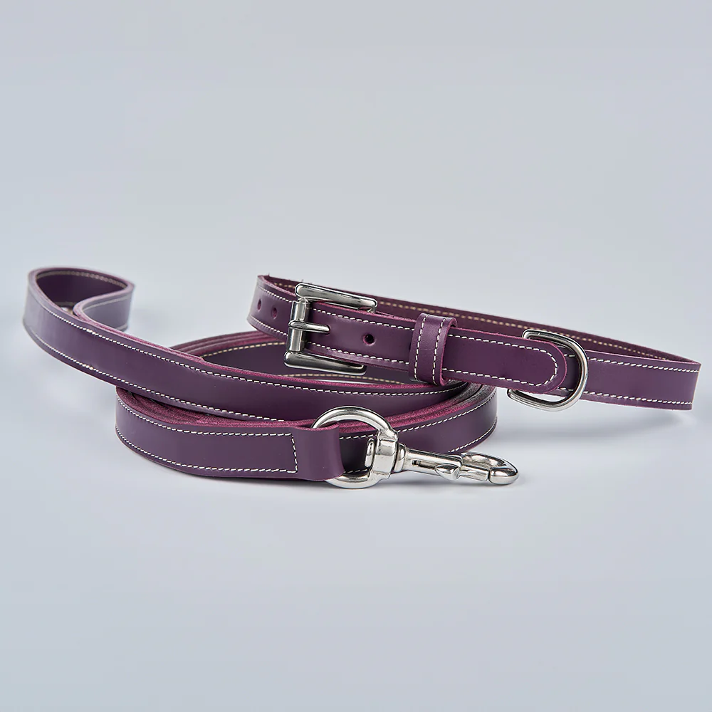 Old Reliable Leash - Image 14
