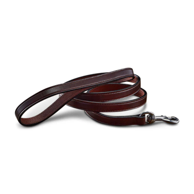 Old Reliable Leash - Image 3