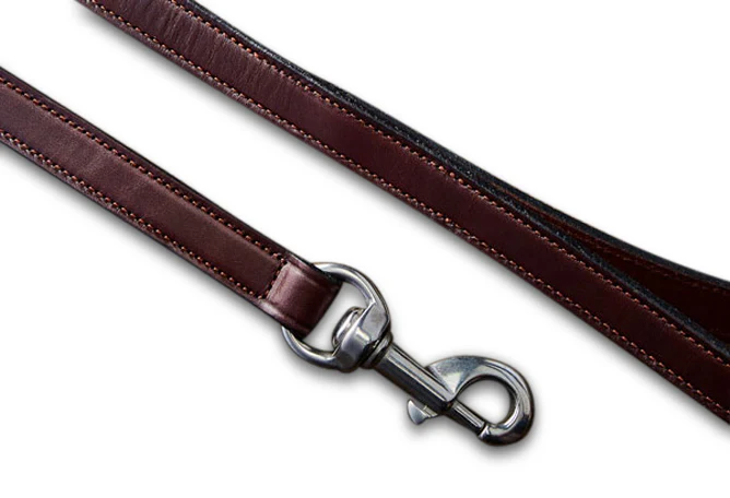 Old Reliable Leash - Image 6