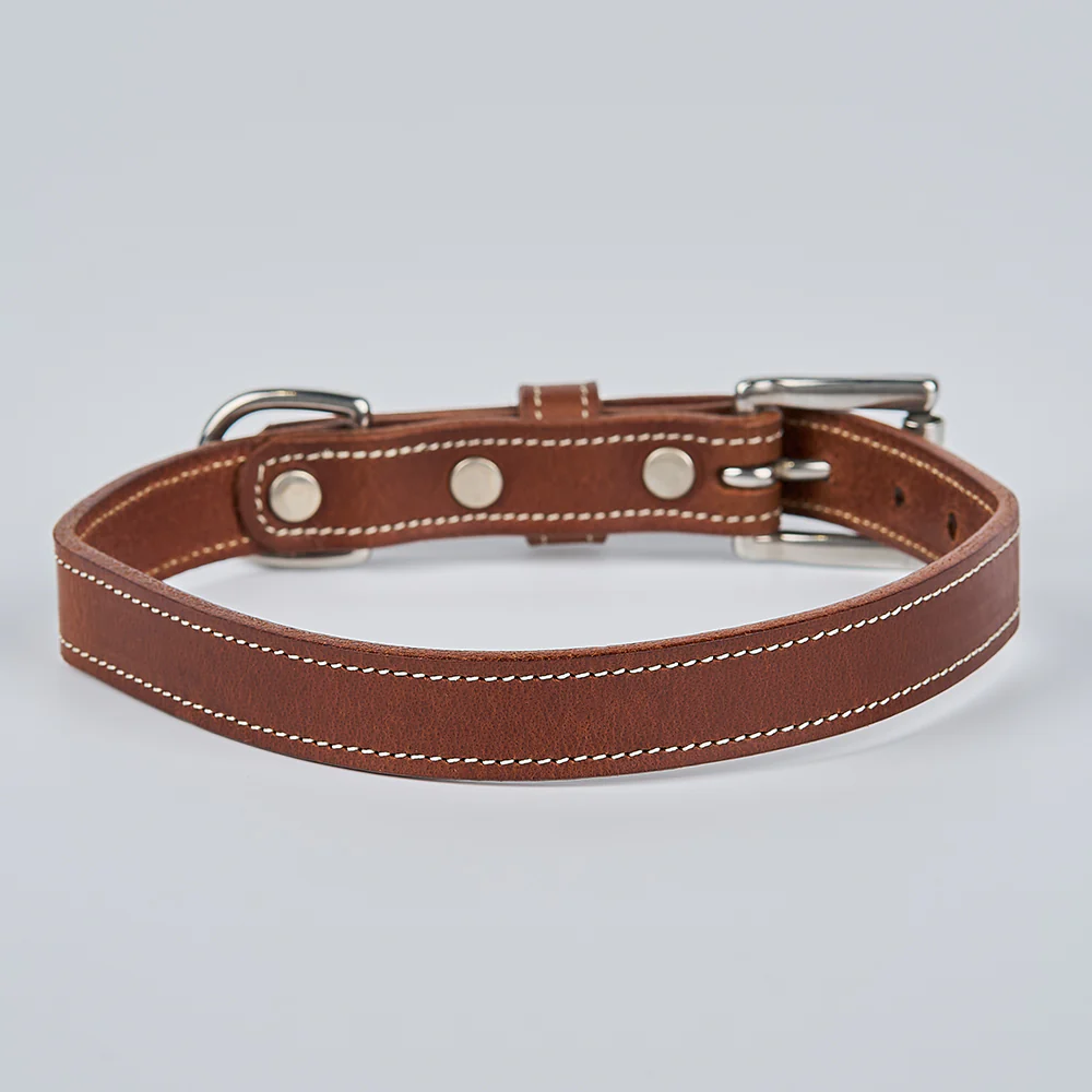 Ollie Bison Collar - Image 12