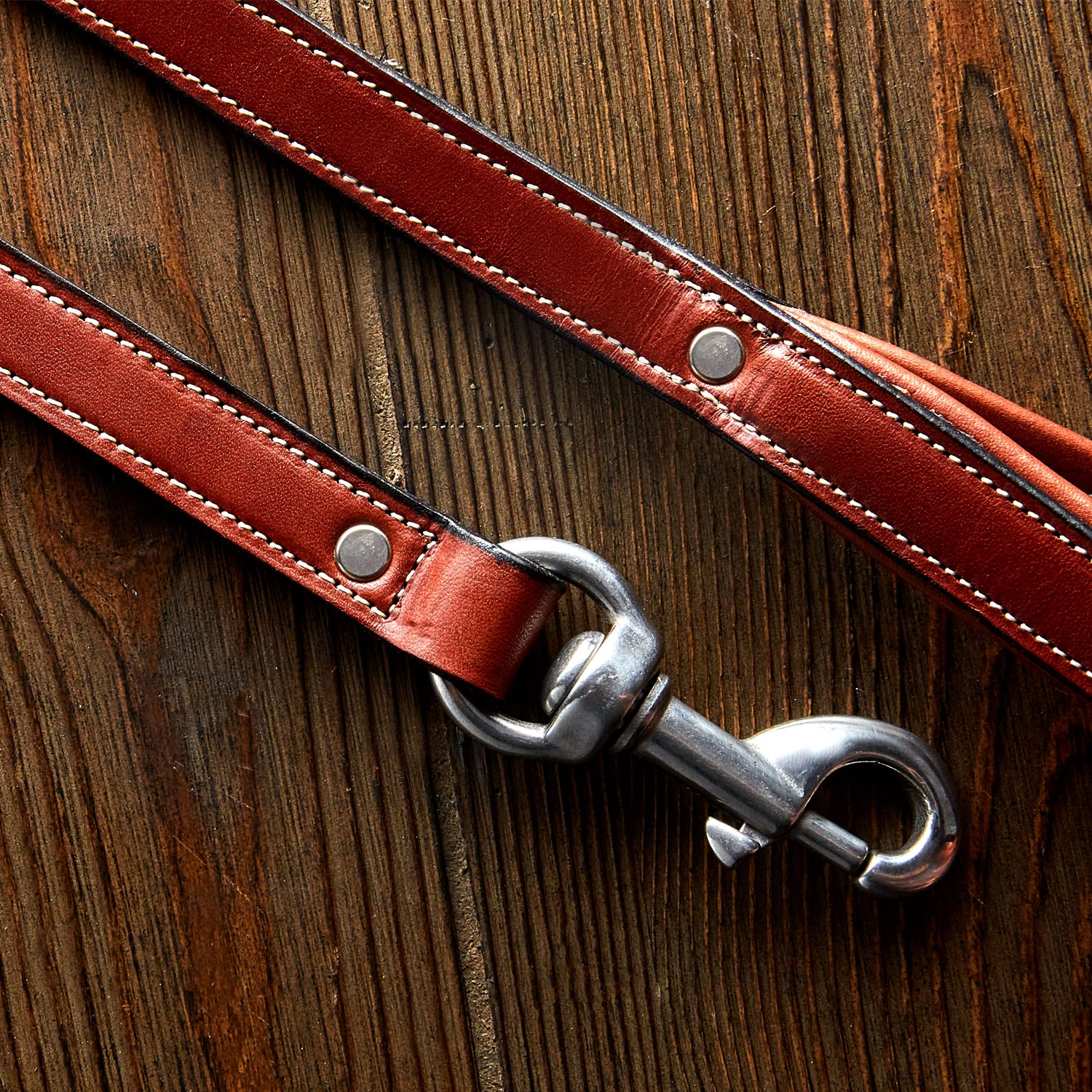 Rover Standard Leash - Image 13