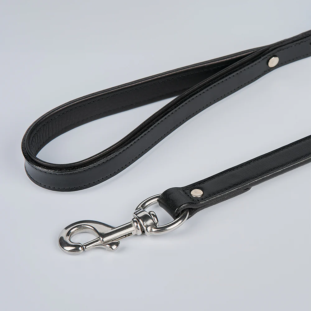 Rover Standard Leash - Image 21
