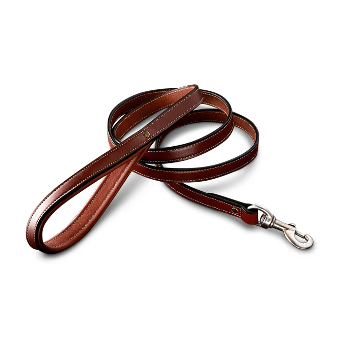 Rover Standard Leash - Image 3