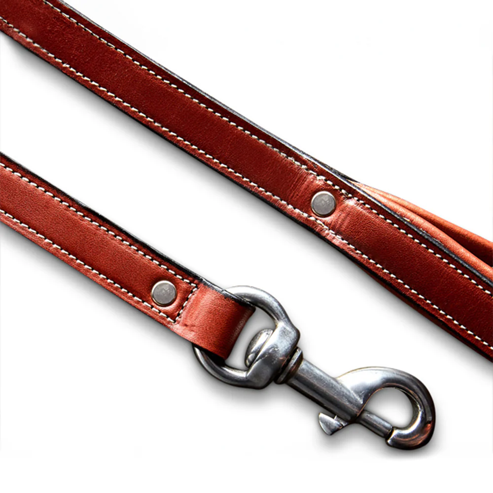Rover Standard Leash - Image 4